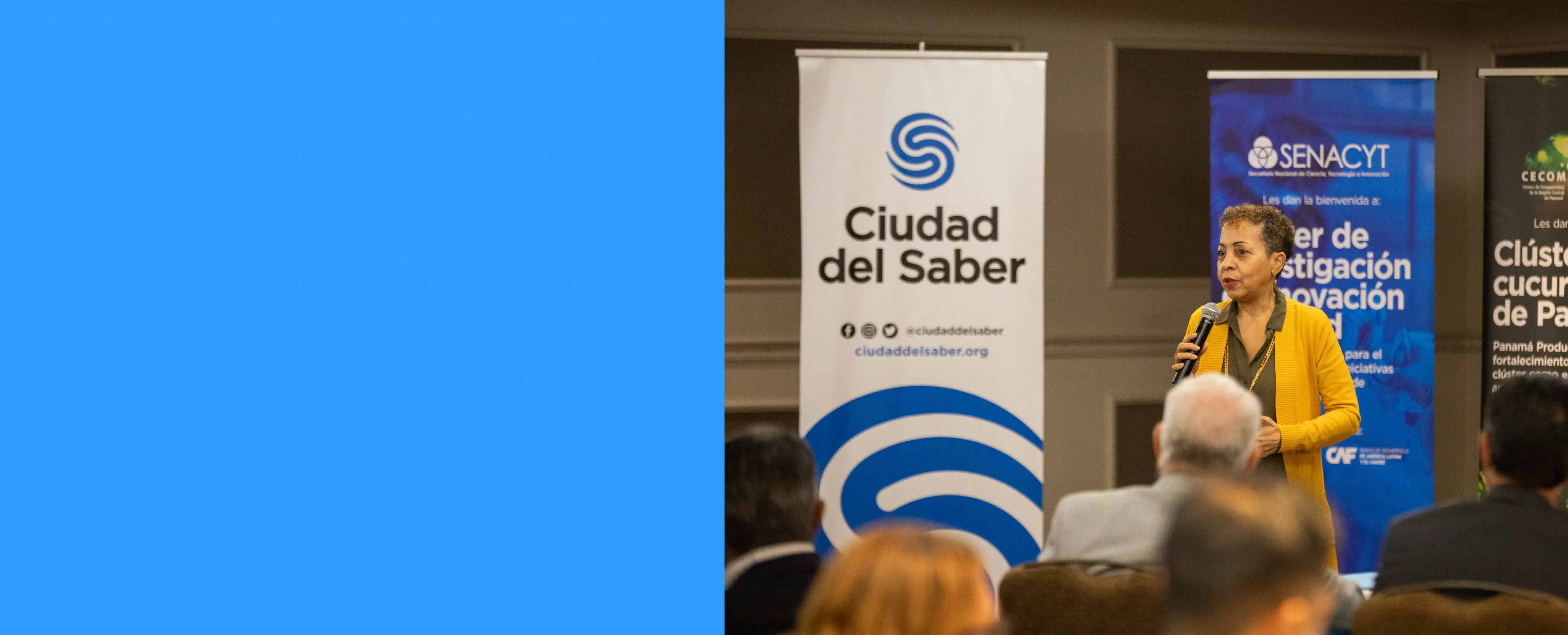 soy un alt por defecto por favor validar en imagen